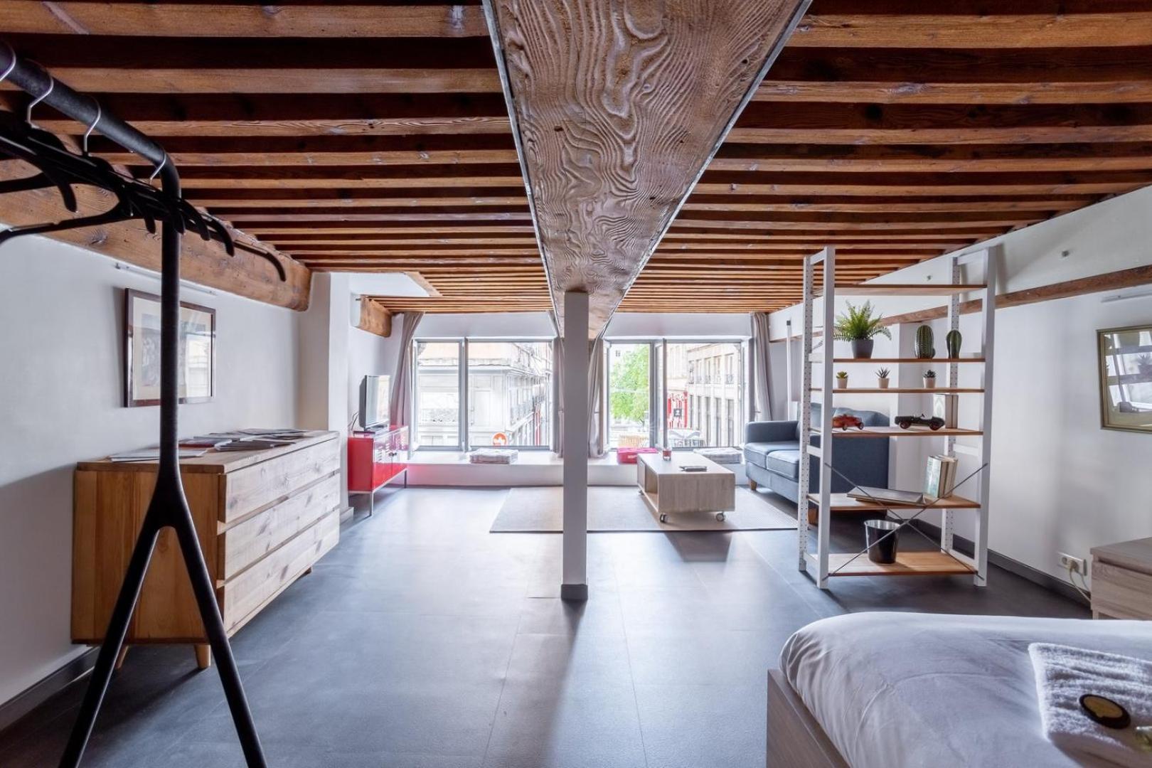 Appartamento Guestready - Le Duplex Des Pentes Lione Esterno foto